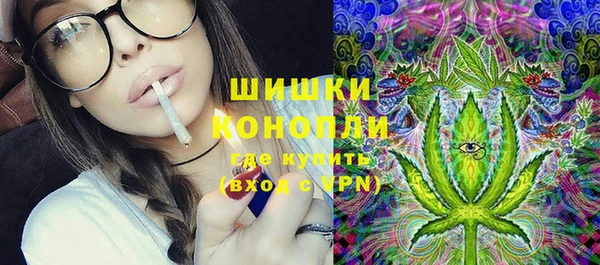 прущие грибы Вяземский