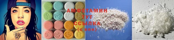 прущие грибы Вяземский