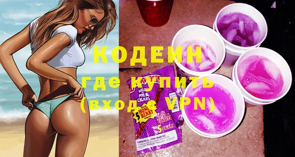 индика Няндома
