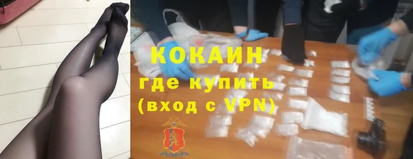 прущие грибы Вяземский