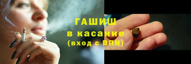 прущие грибы Вяземский