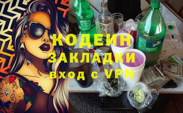 прущие грибы Вяземский