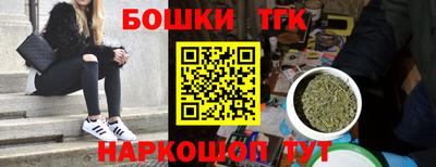 стаф Камышлов