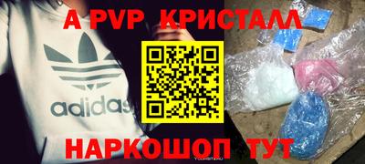 стаф Камышлов