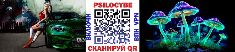 что такое наркотик  Среднеуральск  KRAKEN как зайти  Галлюциногенные грибы мицелий 